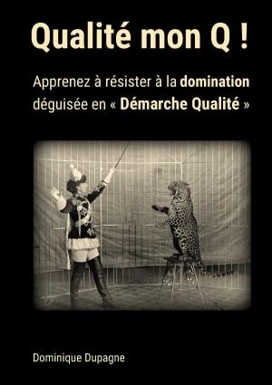 Cover of the book Qualité mon Q ! by Frank Mildenberger