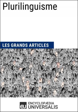 bigCover of the book Plurilinguisme by 
