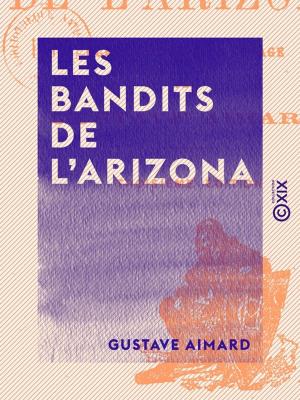 Book cover of Les Bandits de l'Arizona