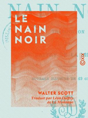 Cover of the book Le Nain Noir by François Cognel