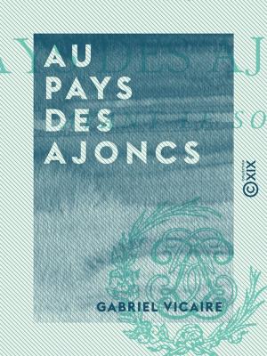 Cover of the book Au pays des ajoncs by Émile Souvestre