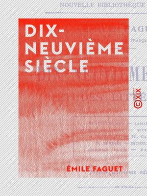 Cover of the book Dix-neuvième siècle by René Bittard des Portes
