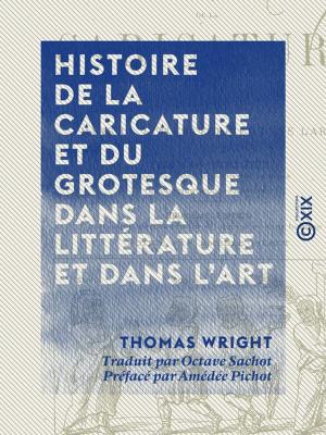 Book cover of Histoire de la caricature et du grotesque dans la littérature et dans l'art