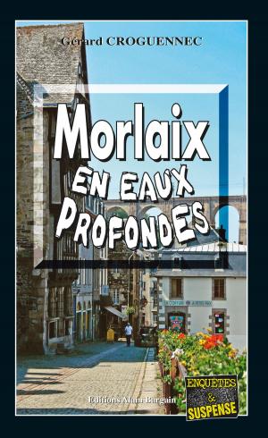 Cover of the book Morlaix en eaux profondes by Bernard Larhant