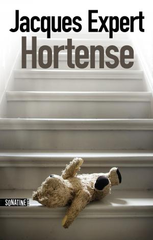 Cover of the book Hortense by Niklas NATT OCH DAG