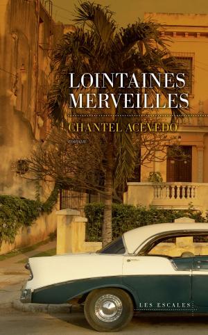 Cover of the book Lointaines merveilles by François JOUFFA