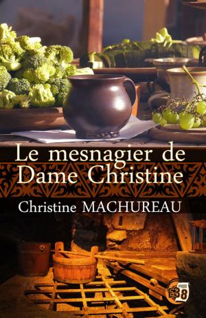 Cover of the book Le mesnagier de Dame Christine by Christine Machureau