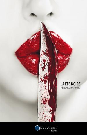bigCover of the book La fée noire by 