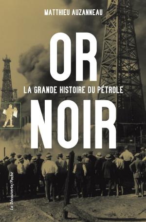 Cover of the book Or noir by Michel WIEVIORKA