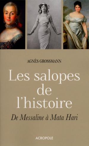 Cover of the book Les salopes de l'histoire by Martine LIZAMBARD, Véronique CAUVIN