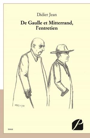Cover of the book De Gaulle et Mitterrand, l'entretien by A. E. Ekpé Mensahadji