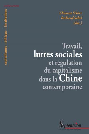 bigCover of the book Travail, luttes sociales et régulation du capitalisme dans la Chine contemporaine by 