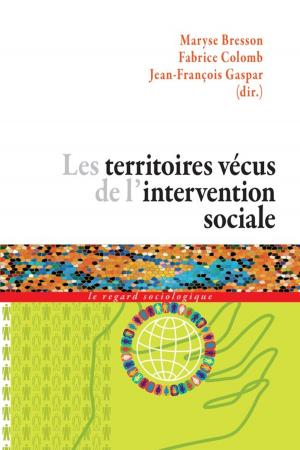 Cover of the book Les territoires vécus de l'intervention sociale by Collectif