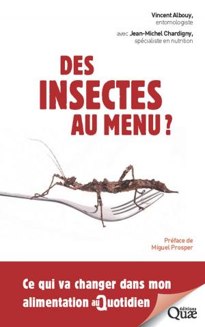 Cover of the book Des insectes au menu ? by Emmanuelle Cheyns, Nicolas Bricas