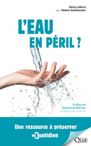 Cover of the book L'eau en péril ? by Philippe Ryckewaert, Béatrice Rhino