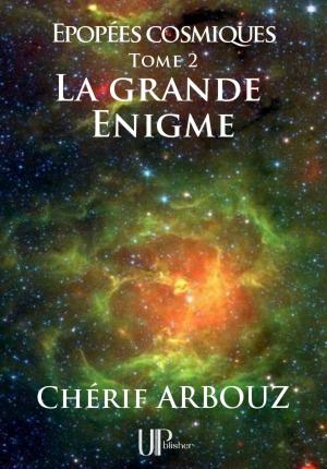 Cover of La grande Énigme