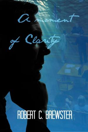 Cover of the book A Moment of Clarity by Norm Applegate