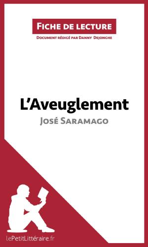 Cover of the book L'Aveuglement de José Saramago (Fiche de lecture) by Marine Everard, lePetitLittéraire.fr