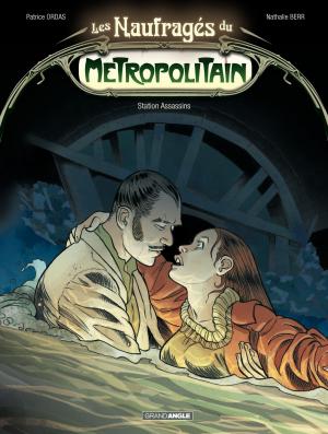 Cover of the book Les Naufragés du Métropolitain by Eric Hubsch, Serge Scotto, Eric Stoffel