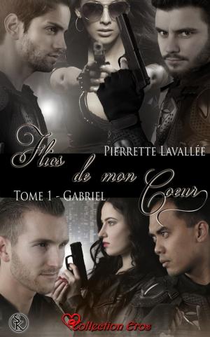 Cover of the book Gabriel by Enel Tismaé