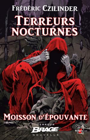 Cover of the book Terreurs nocturnes by V J Stevenson