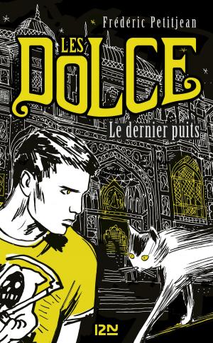 Cover of the book Les Dolce - tome 3 : Le dernier puits by SAN-ANTONIO