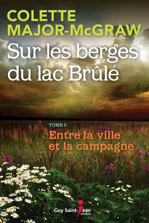 Cover of Sur les berges du lac Brûlé, tome 2