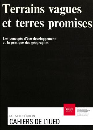 Cover of the book Terrains vagues et terres promises by Collectif