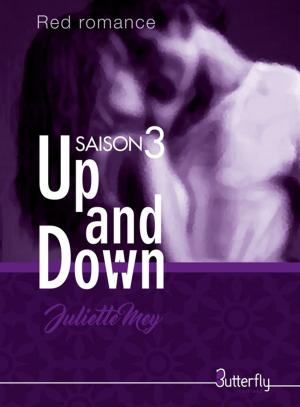 Cover of the book Up and Down by Ava Król