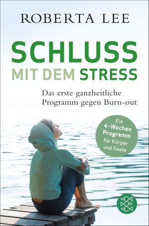 Book cover of Schluss mit dem Stress