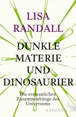 Cover of the book Dunkle Materie und Dinosaurier by Jörg Maurer