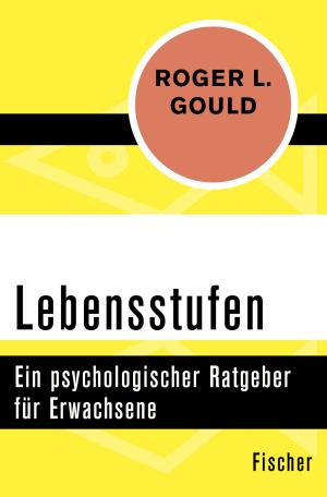 Cover of the book Lebensstufen by Mechthild Firnhaber