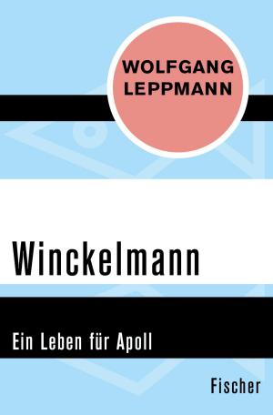 Cover of the book Winckelmann by Martin Rheinheimer