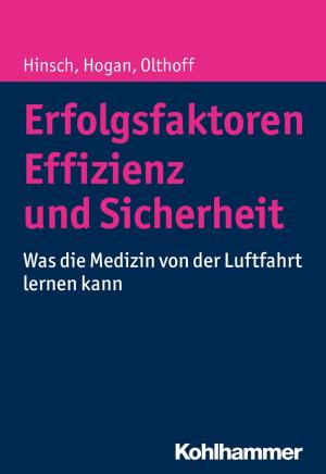Cover of the book Erfolgsfaktoren Effizienz und Sicherheit by Georg Felser, Bernd Leplow, Maria von Salisch