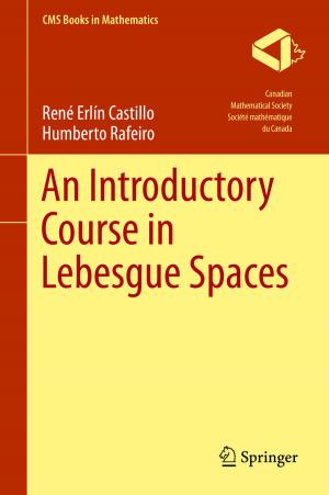 Cover of the book An Introductory Course in Lebesgue Spaces by Jianyong Ouyang