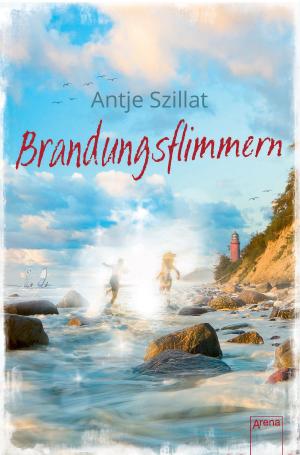 Cover of the book Brandungsflimmern by Roderick Gordon, Brian Williams