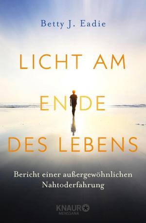 Cover of the book Licht am Ende des Lebens by Wighard Strehlow