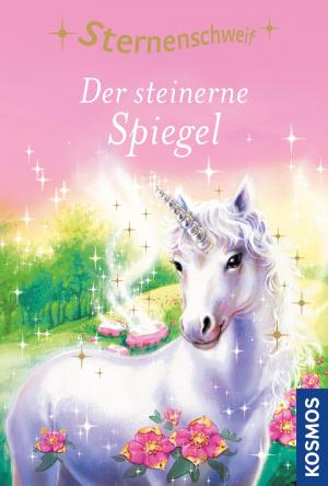 Cover of the book Sternenschweif, 3, Der steinerne Spiegel by Aygen-Sibel Çelik, Carolin Liepins