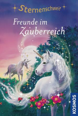 Book cover of Sternenschweif, 6, Freunde im Zauberreich