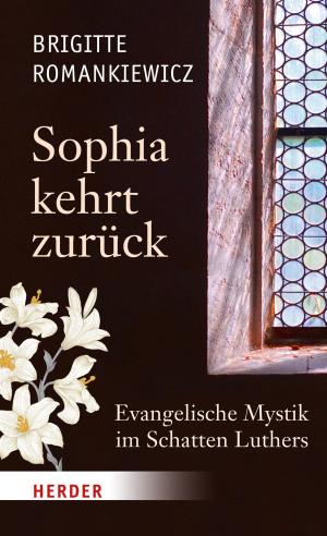 Cover of the book Sophia kehrt zurück by Martin Werlen