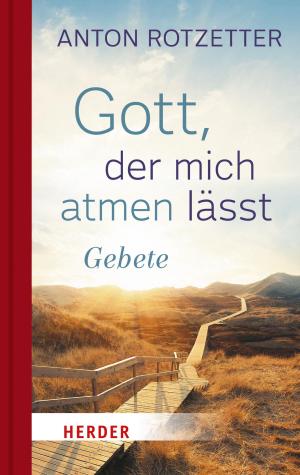 Cover of the book Gott, der mich atmen lässt by Franz-Xaver Kaufmann