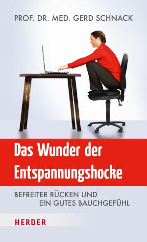 Book cover of Das Wunder der Entspannungshocke