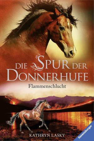 Cover of the book Die Spur der Donnerhufe 1: Flammenschlucht by Dorothy Hoobler, Thomas Hoobler