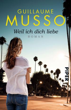 Cover of the book Weil ich dich liebe by Dieter Kreutzkamp