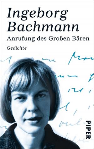 Cover of the book Anrufung des Großen Bären by Birgit Vanderbeke