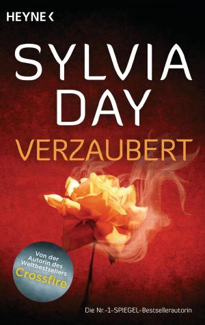 Cover of the book Verzaubert by Sophie Andresky