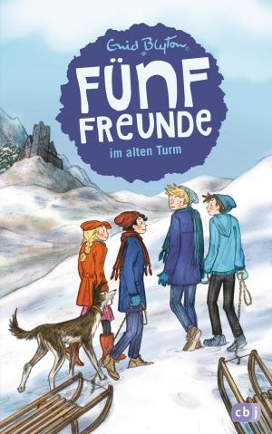 Cover of the book Fünf Freunde im alten Turm by Patricia Schröder