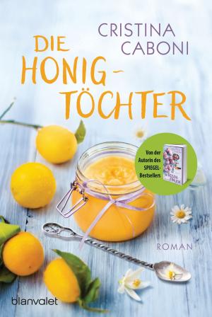 Cover of the book Die Honigtöchter by Karen Doornebos