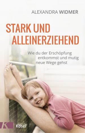 Book cover of Stark und alleinerziehend