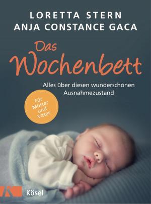 Cover of the book Das Wochenbett by Johannes Pausch